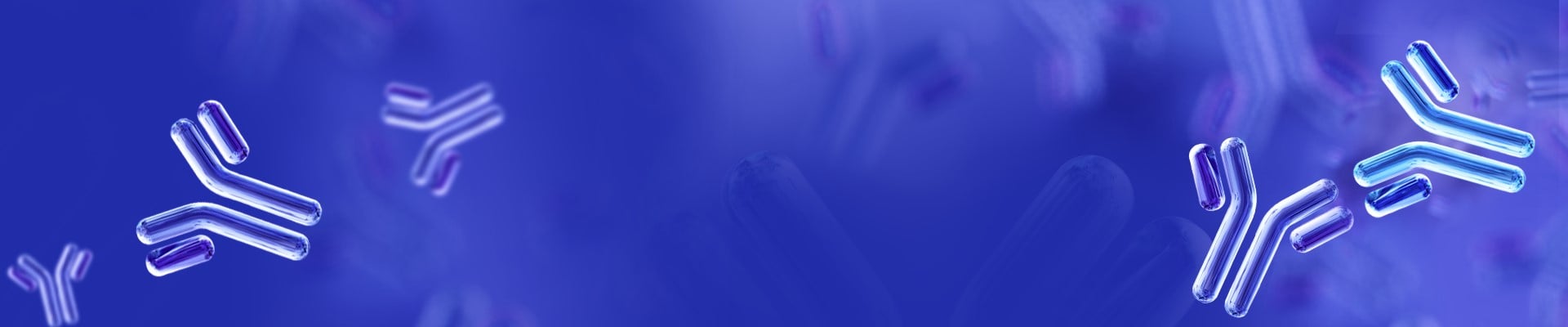 Anti-idiotype Antibody Services