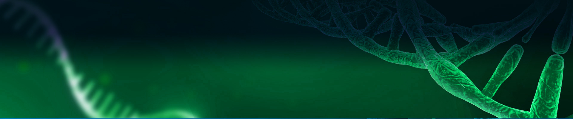 mRNA Template Services GenScript mRNA Template Services GenScript