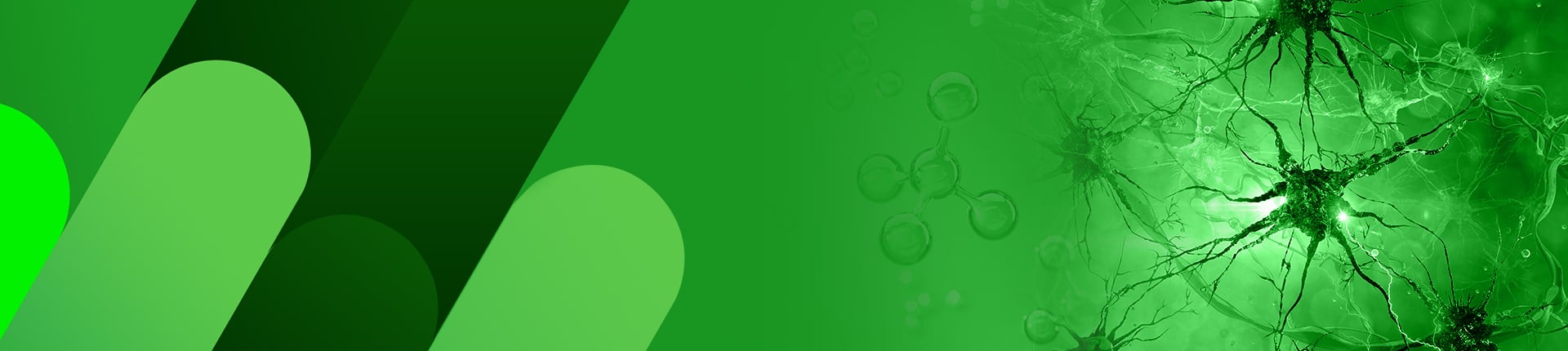 Neuroscience Peptides