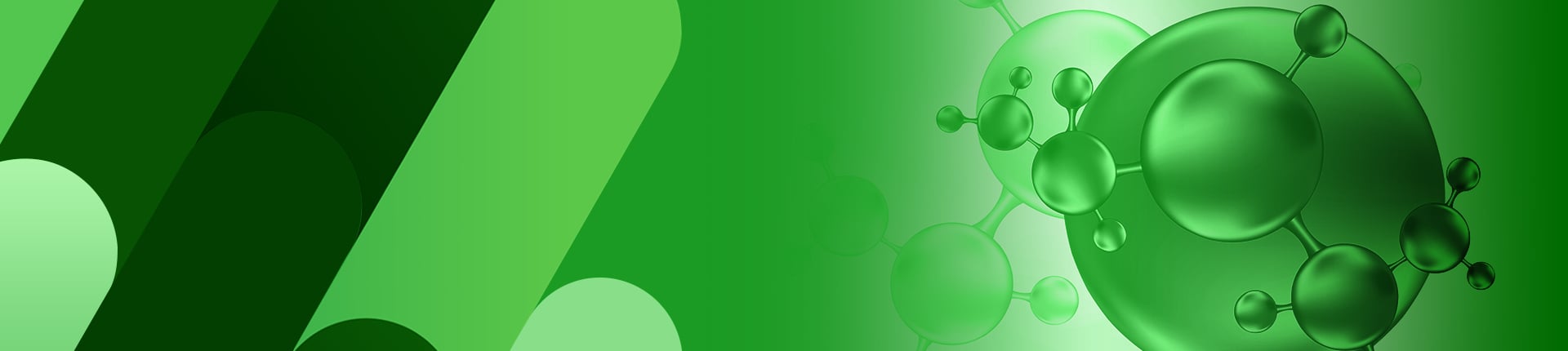 Cell Penetrating Peptides