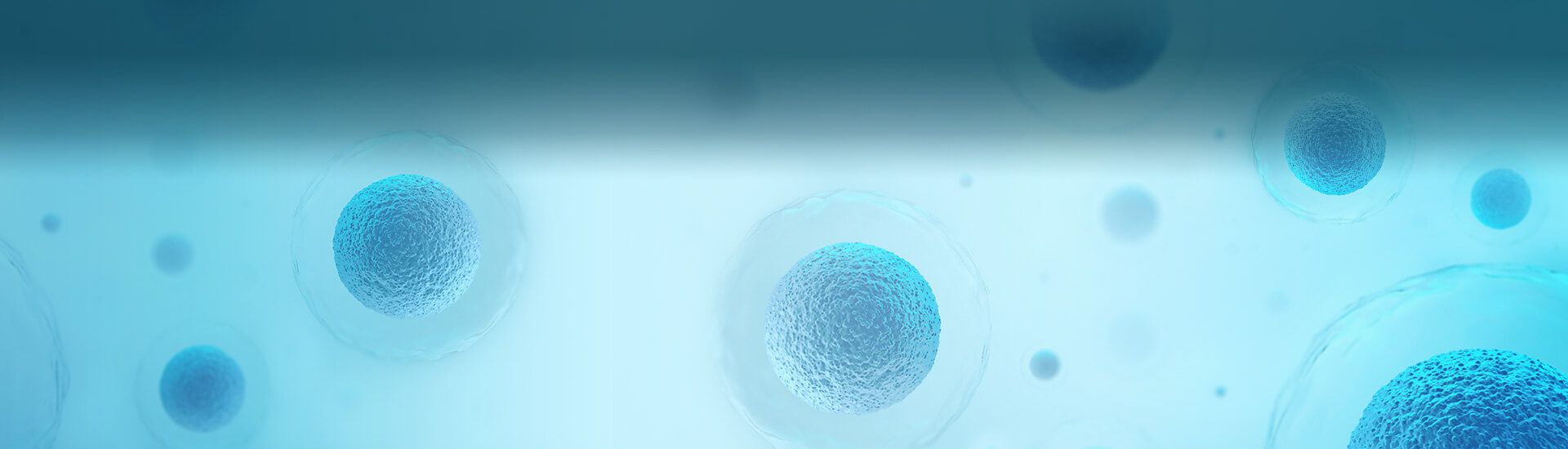 Stable Cell Lines