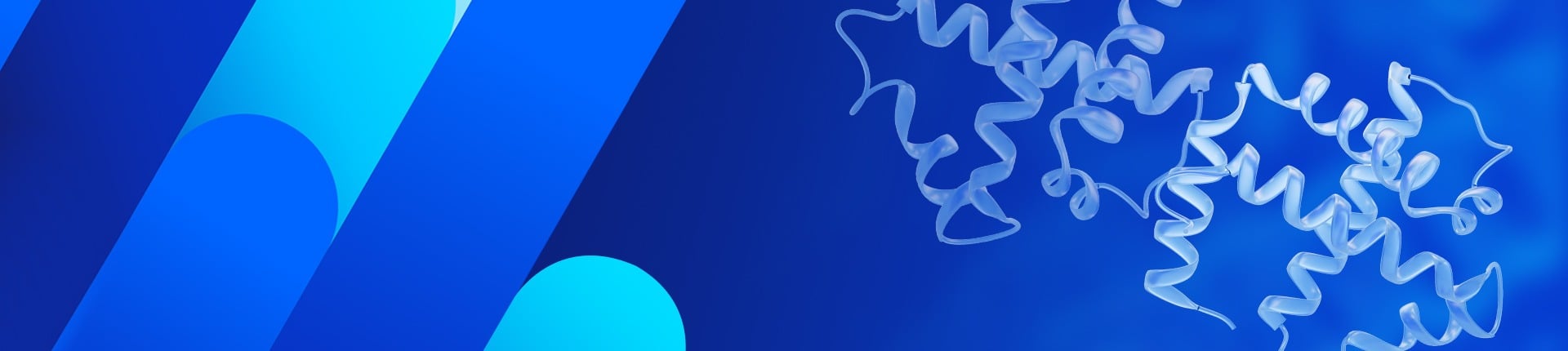 CRISPR/Cas Proteins