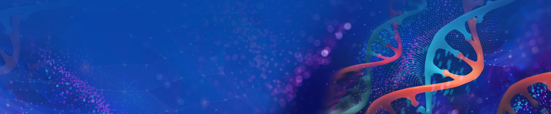  CRISPR Cell Line Development