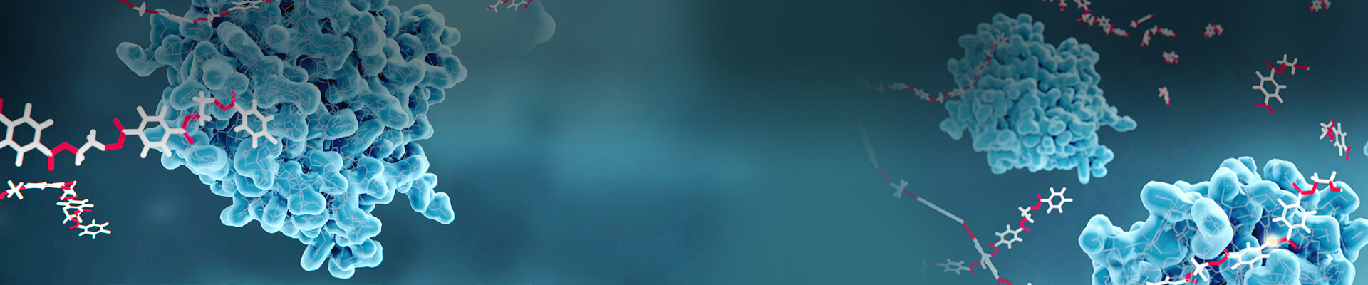Customized Enzyme Development & Commercial Production