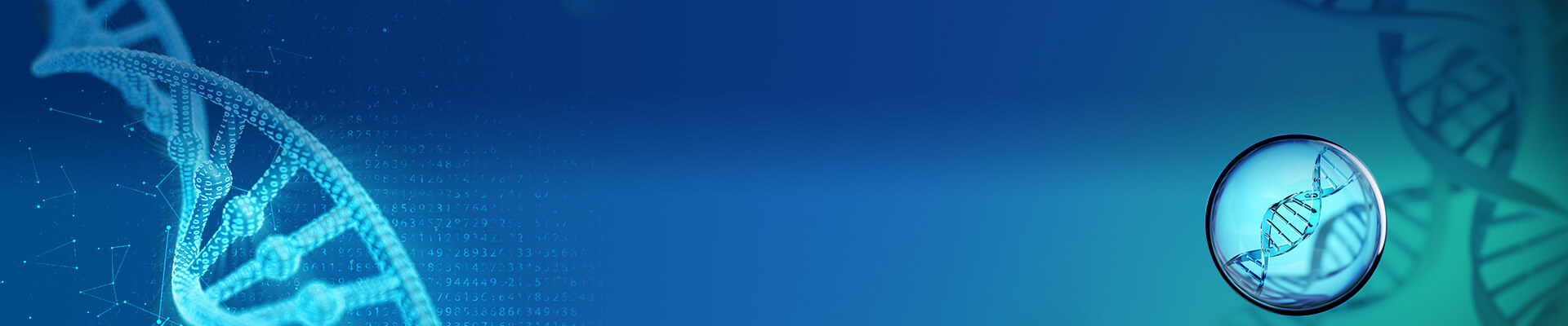 GLP Grade Plasmid DNA Preparation