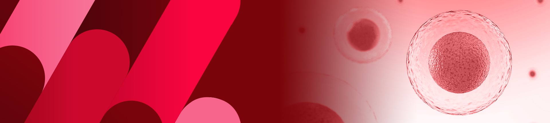 CellPower™ Cell Line Development