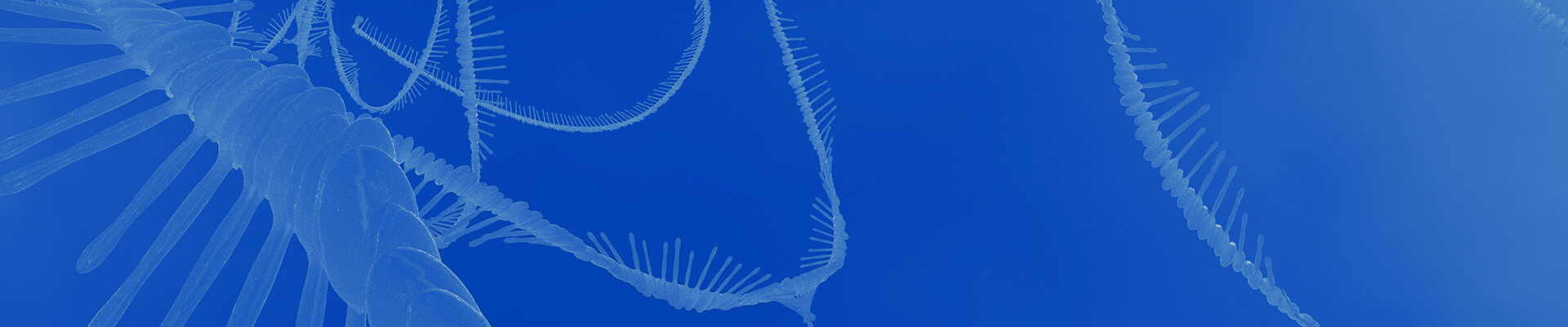 Get GenScript’s New Lentivirus Packaging Handbook