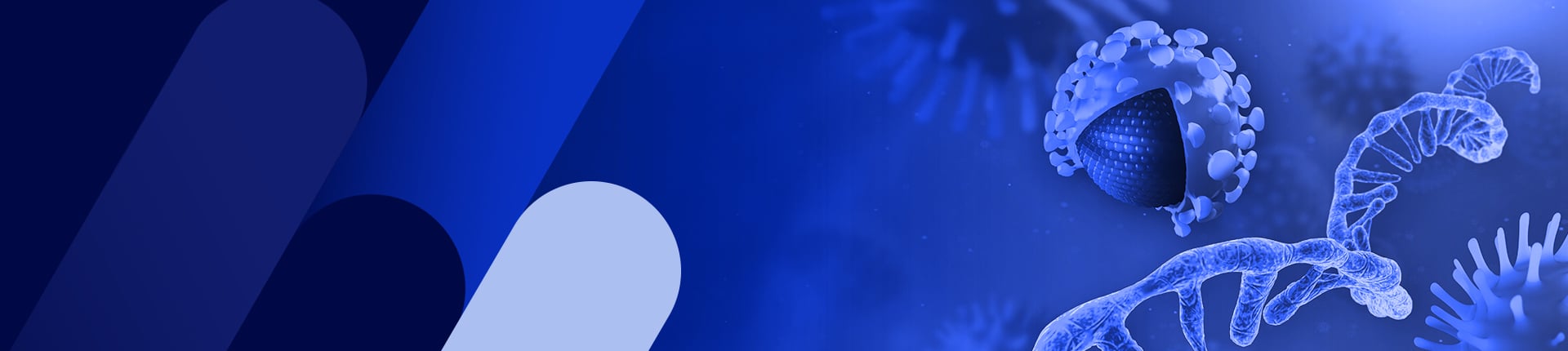 IVT RNA Production Services