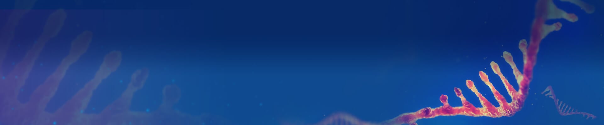 Custom DNA Oligo Synthesis