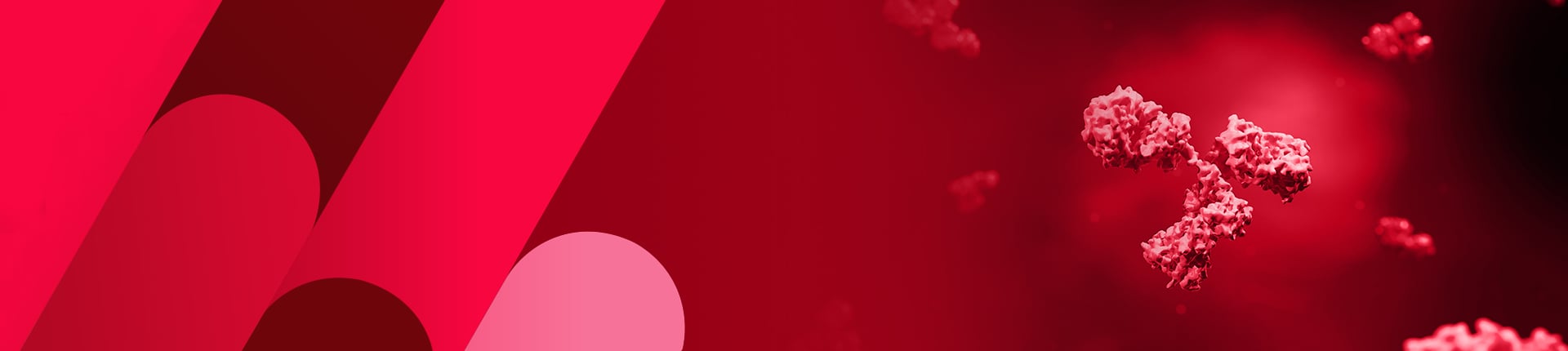 Fully Custom Monoclonal Antibody Generation Services