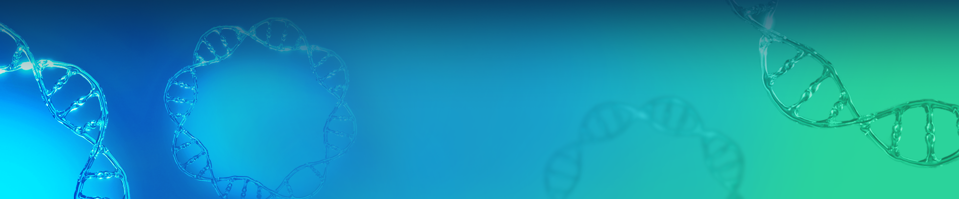mRNA Plasmid Solutions