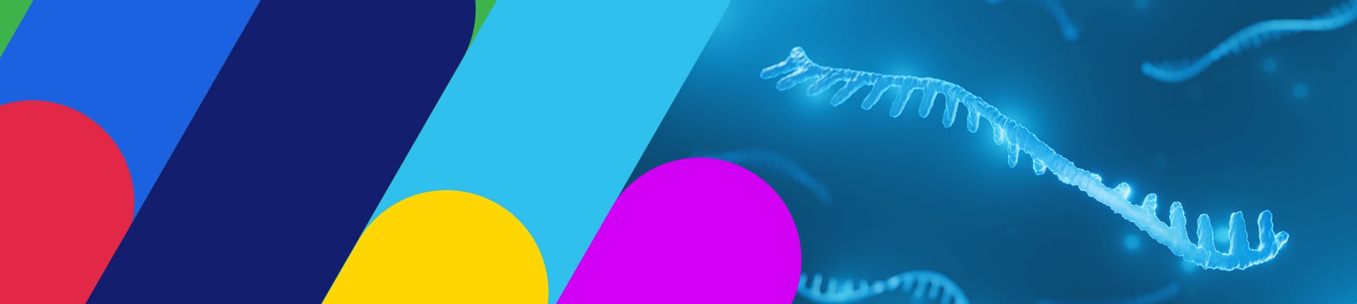 Gene Therapy Solutions