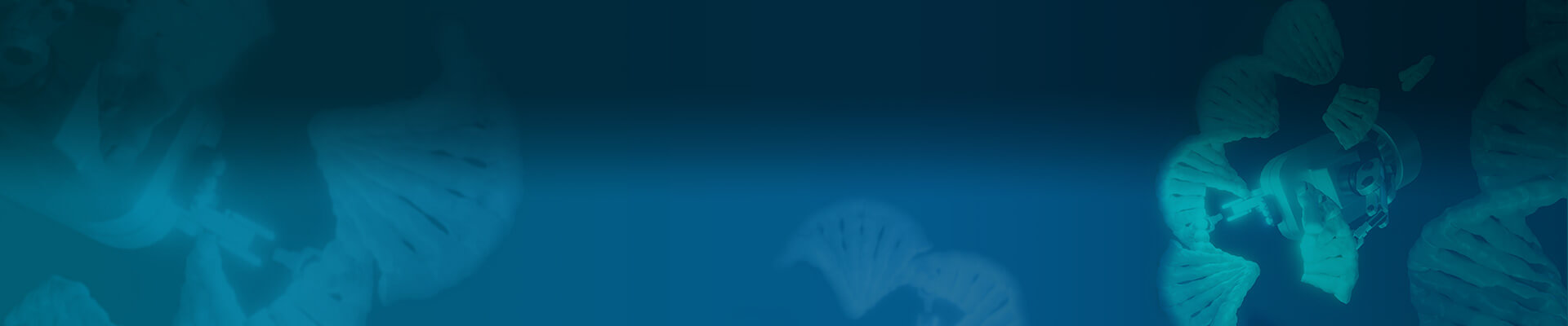 Homo sapiens (human) IGF1R signaling cascade (provided by Reactome)