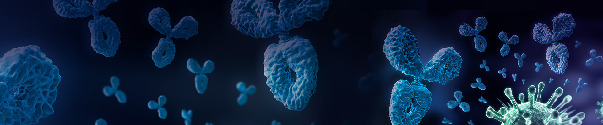 Nucleocapsid (N-protein) mAbs