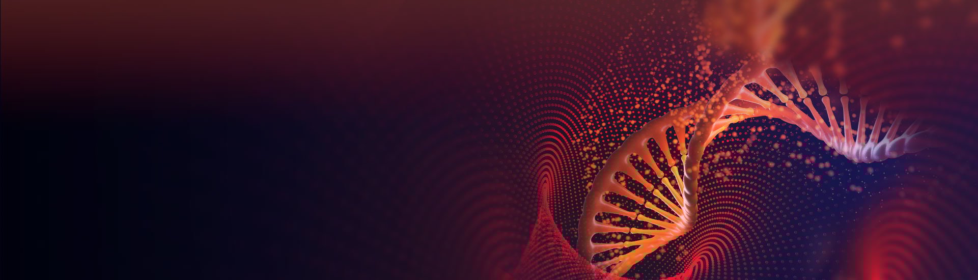 Gene Therapy Solutions