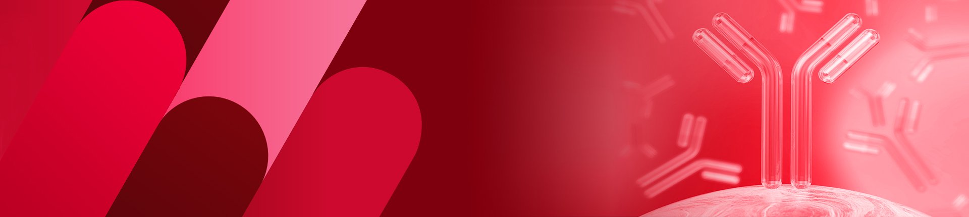 Harness the Power of Custom Polyclonal Antibodies to Uncover Novel
                Proteins