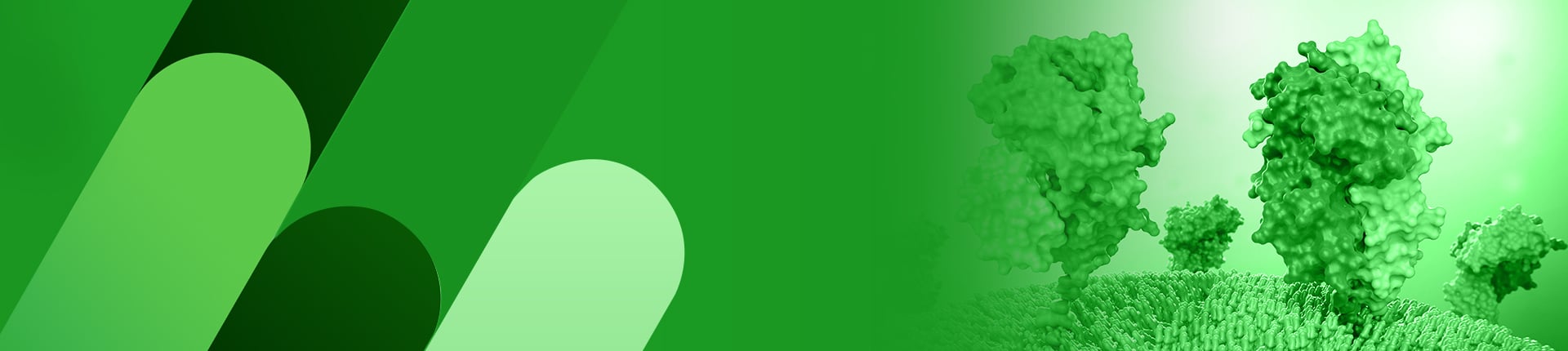 Peptide Modifications Banner