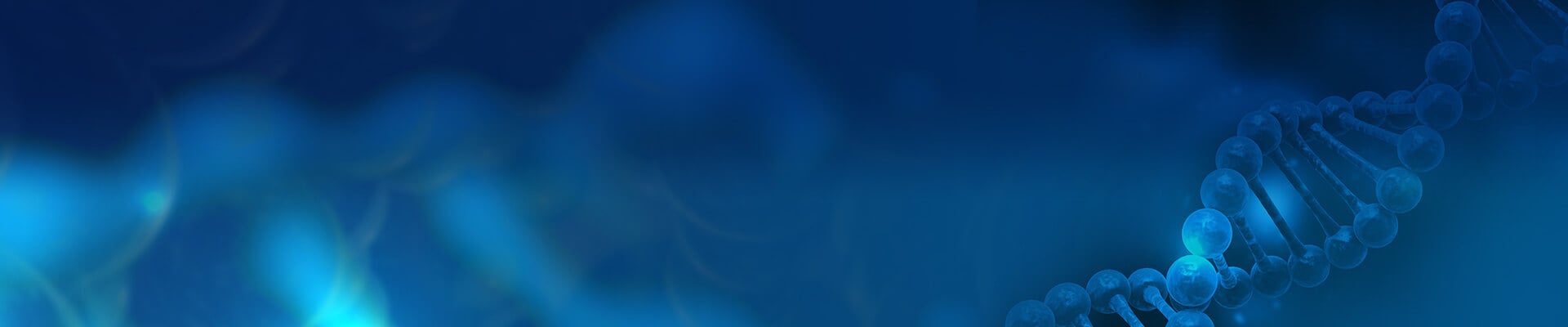 Plasmid DNA Preparation Services