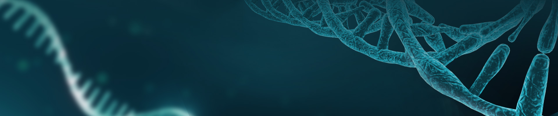 Plasmid Linearization Service