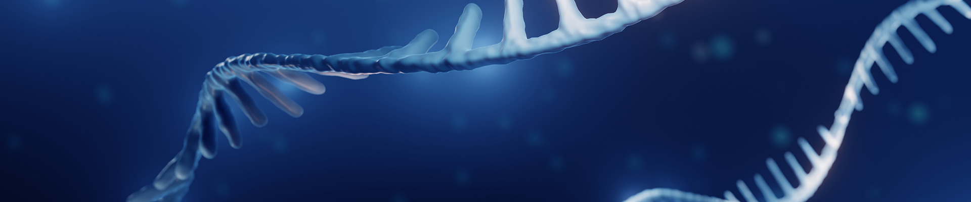 Plasmid Linearization Service