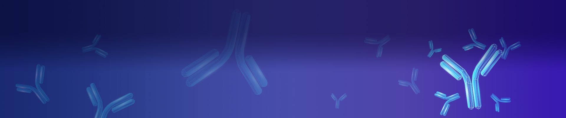 Polyclonal Antibody Services