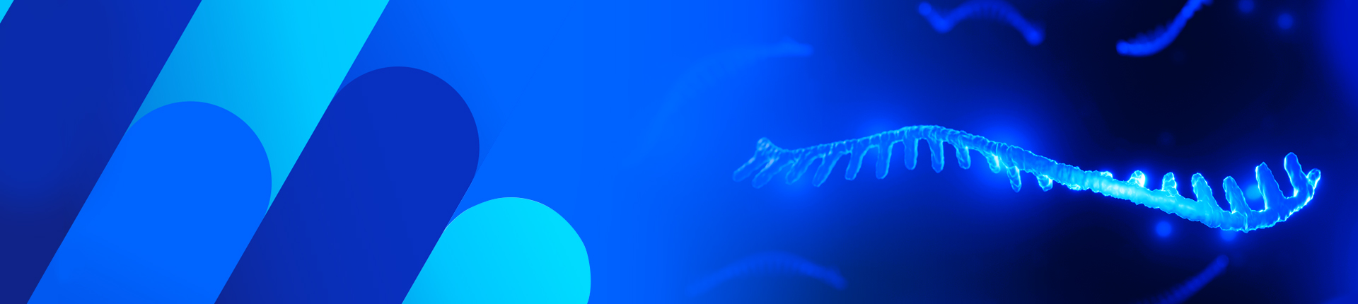 qPCR Probes and Oligo Primers