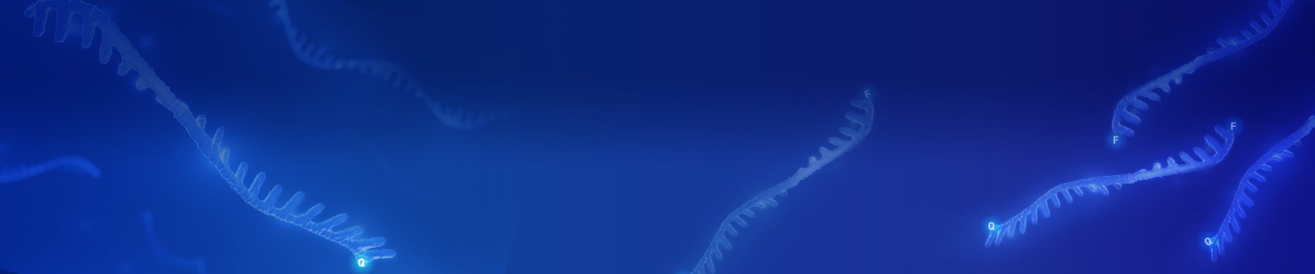 qPCR Probes and Oligo Primers