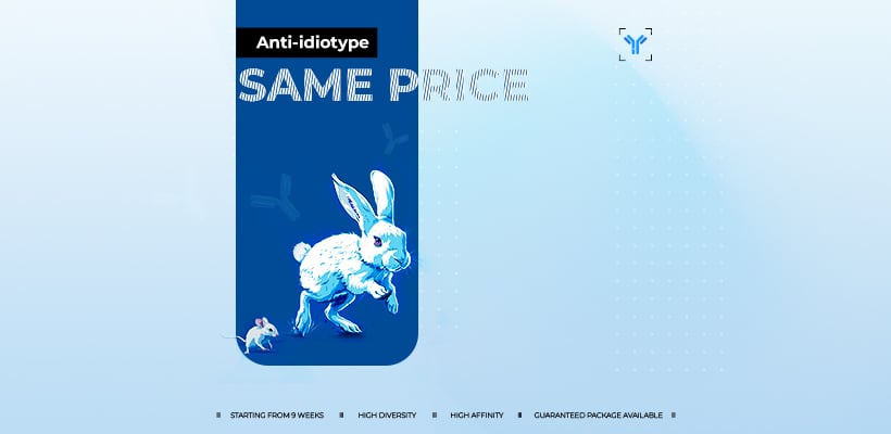 Mouse Price,Rabbit Performance!
