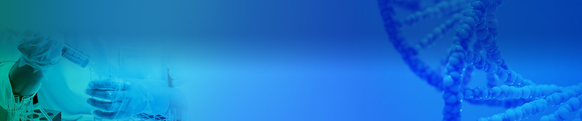 Research-Grade Plasmid Preparation Banner