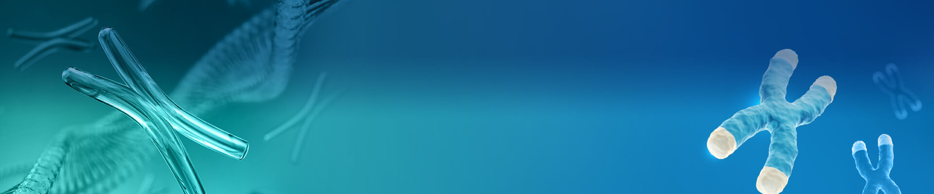 Plasmid DNA Preparation Services