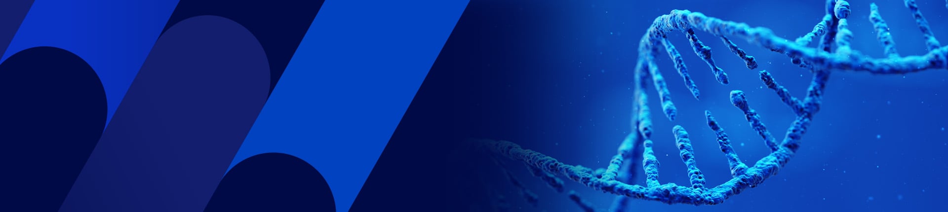 Tier 3 High-Quality Plasmid DNA