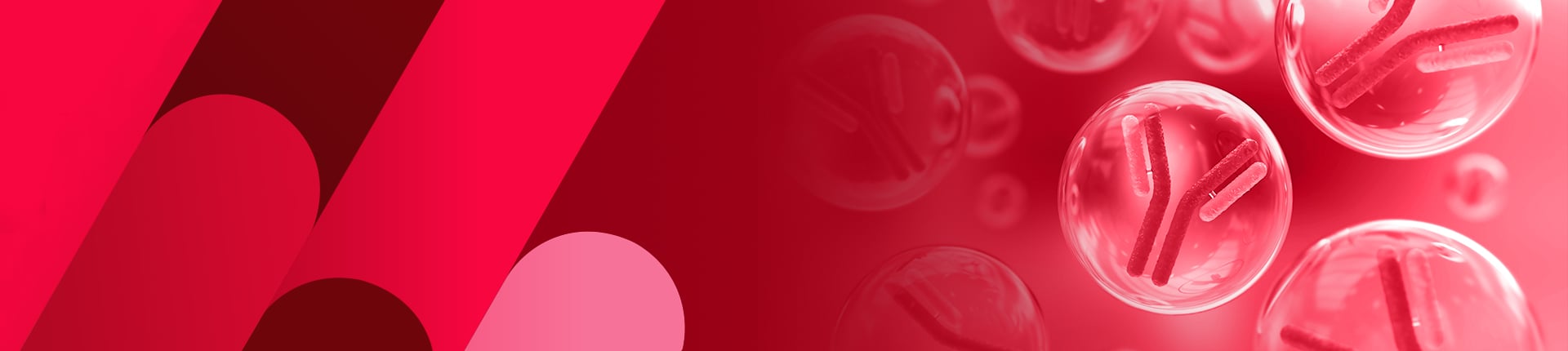 Hybridoma Technology for the Win!