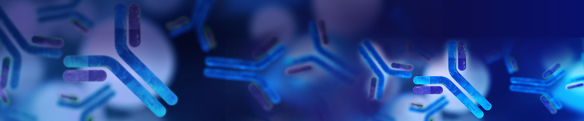 Custom Monoclonal Antibody Development Services