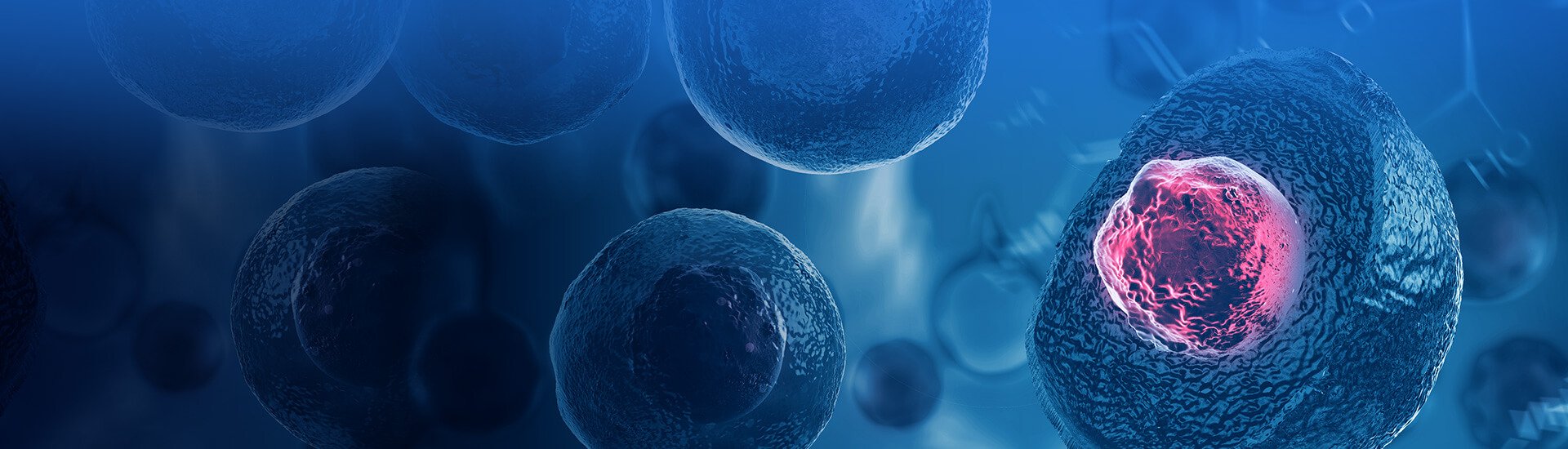 Cell Therapy Solutions 
