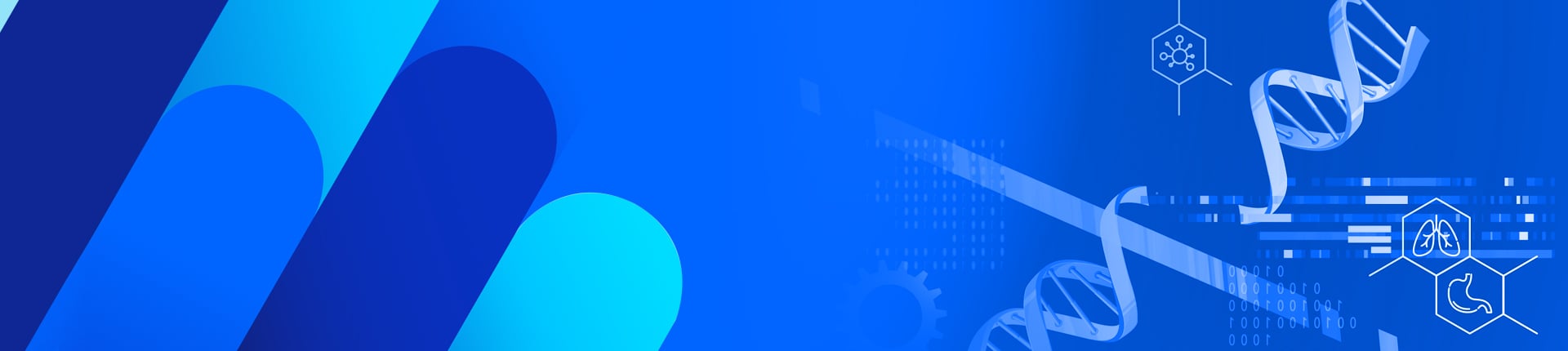 CRISPR gRNA Libraries