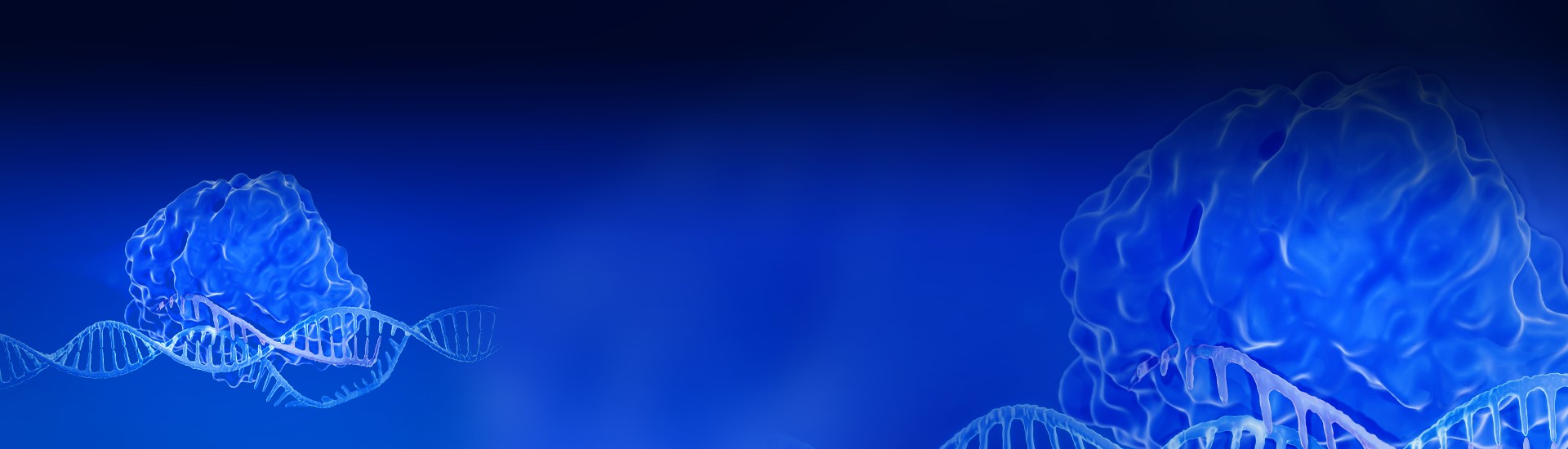 GenCRISPR Services