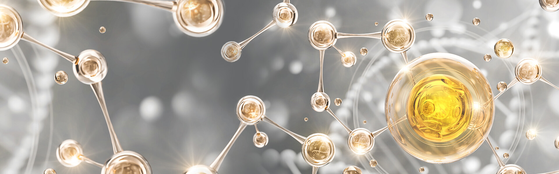 Cell Therapy Solutions 