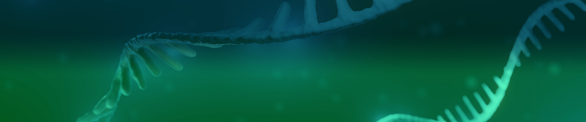 Poly A Guarantee Service Banner