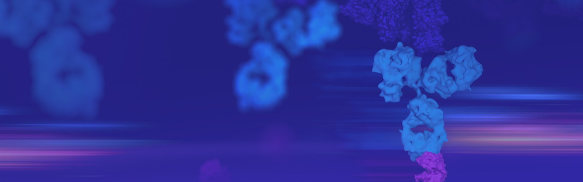 5 Business Days from Gene to Antibody