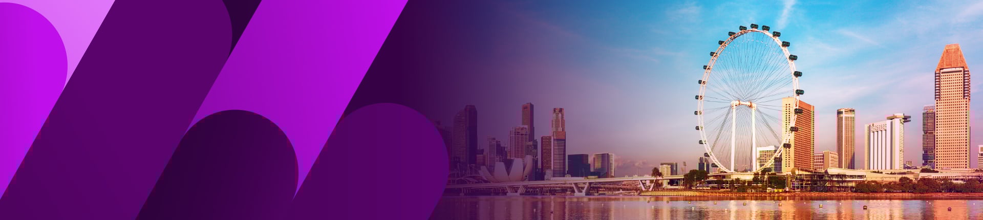 TurboCHO™ Recombinant Expression Service