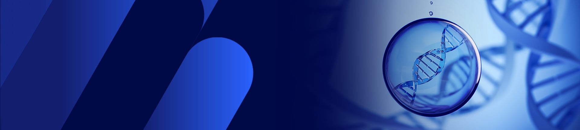 Whole Plasmid Sequencing Service