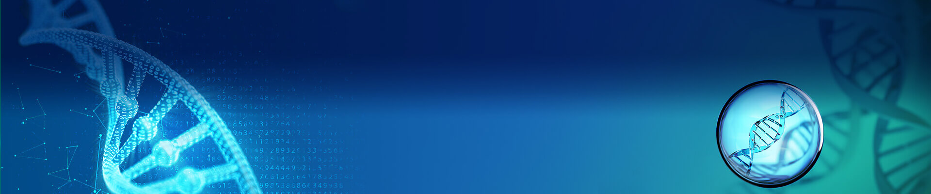 Whole Plasmid Sequencing Service