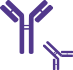 icon antibody production