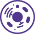 icon antibody screening