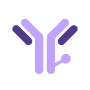 Antibody Modification