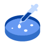 Gene Function Study