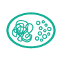plasmid preparation icon