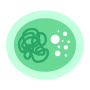 plasmid dna preparation icon