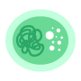 plasmid dna preparation icon