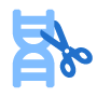 Gene Editing